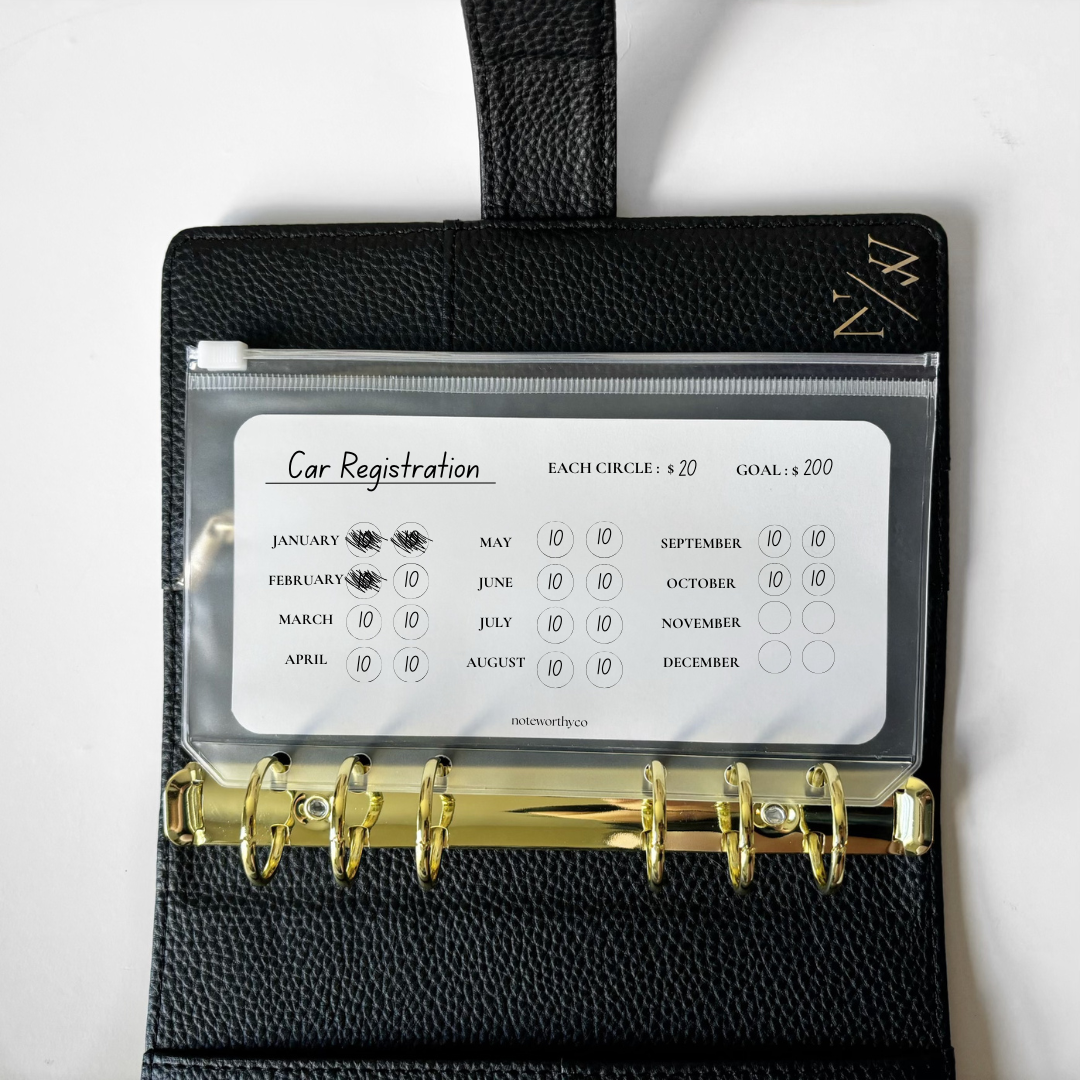 The BI WEEKLY CashTracker PRINTABLE